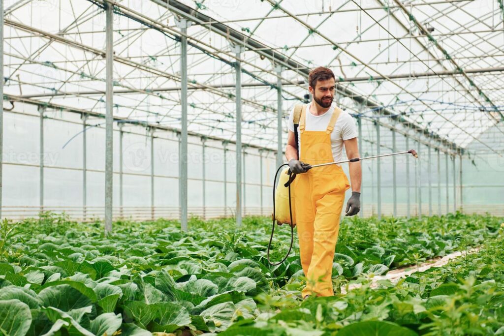 Eden Company Canada Jobs